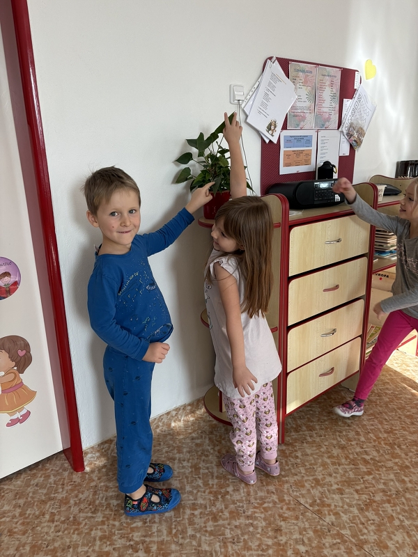 Kroužek HRAVÁ ANGLIČTINA