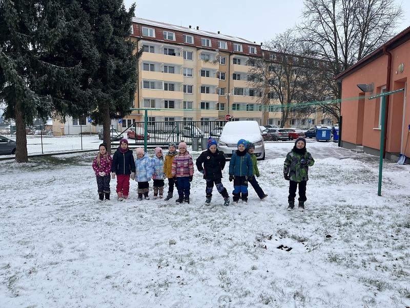 Zajíčci a první sníh