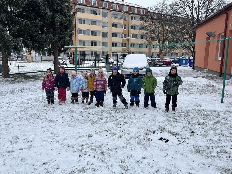 Zajíčci a první sníh