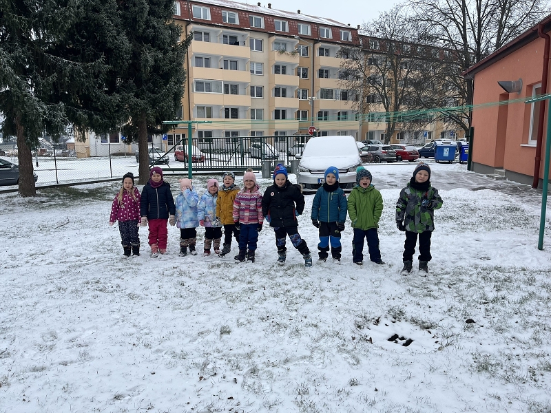 Zajíčci a první sníh