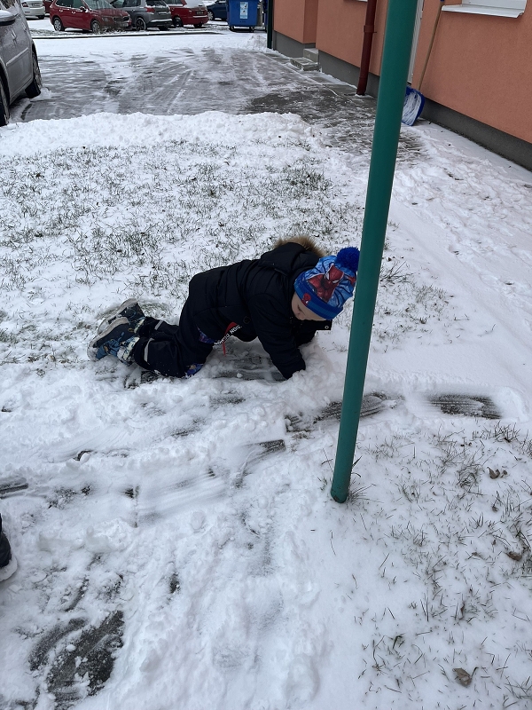 Zajíčci a první sníh