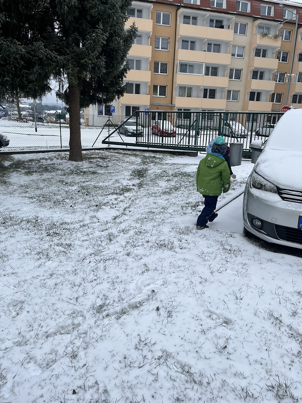 Zajíčci a první sníh