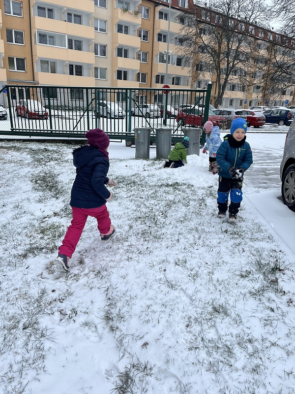 Zajíčci a první sníh