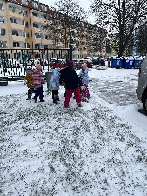 Zajíčci a první sníh