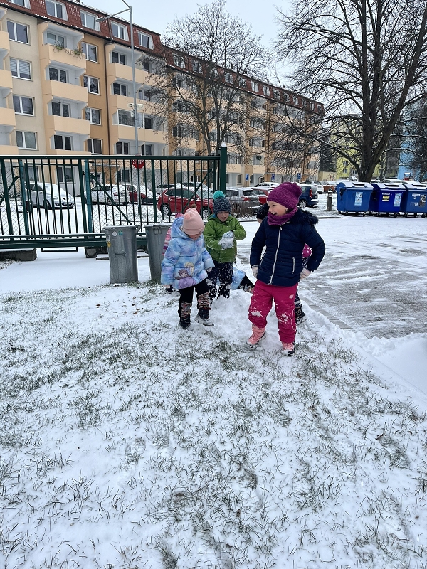 Zajíčci a první sníh