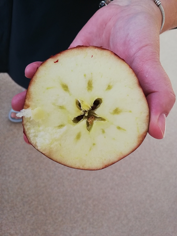 Vánoční besídka 2026