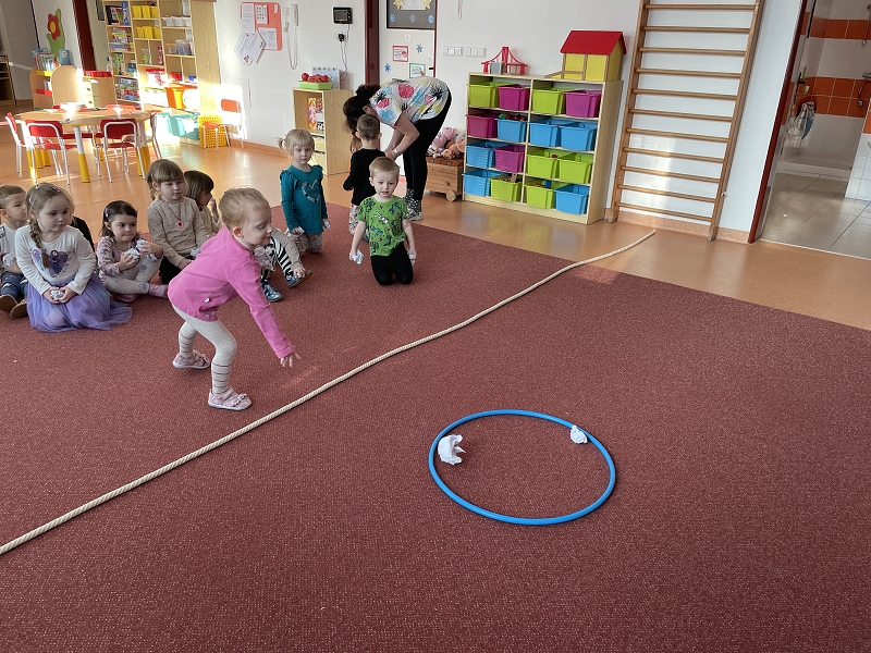 Myšky poznávají zimní sporty