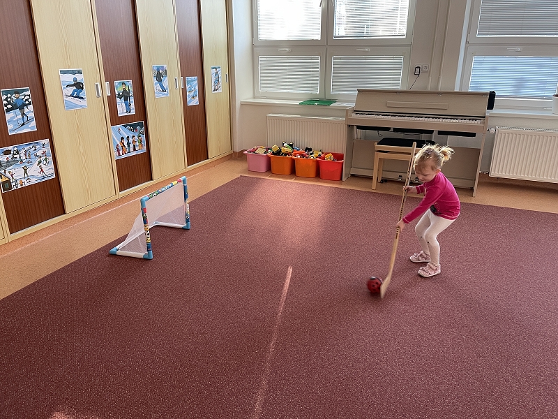 Myšky poznávají zimní sporty