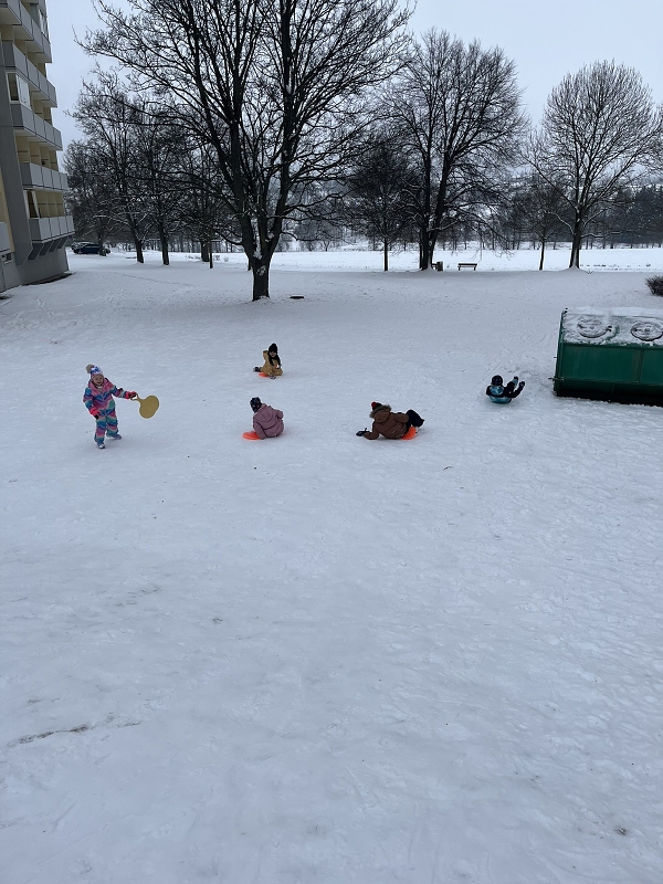 Zimní radovánky u Zajíčků