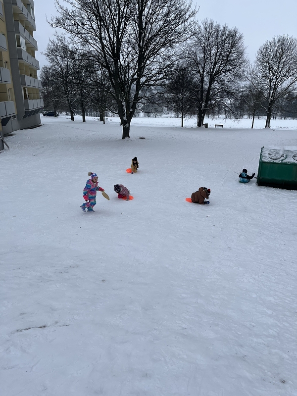 Zimní radovánky u Zajíčků