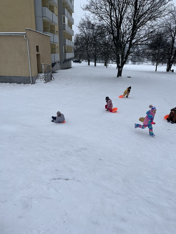 Zimní radovánky u Zajíčků