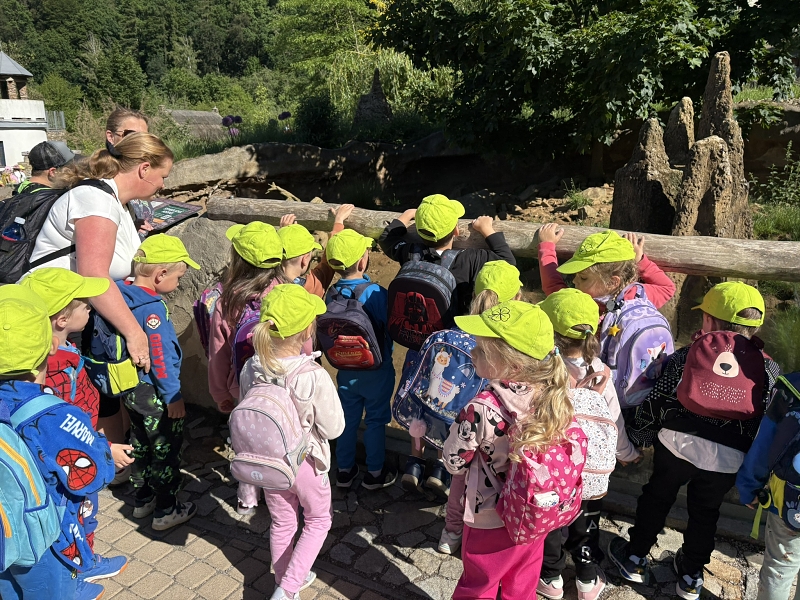 Koťátka - výlet ZOO Jihlava