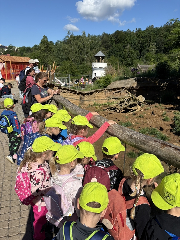 Koťátka - výlet ZOO Jihlava