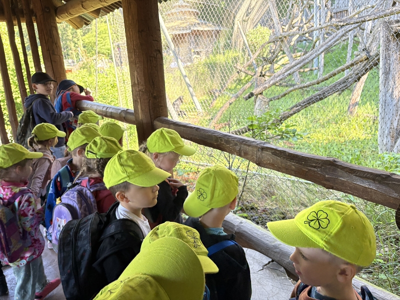 Koťátka - výlet ZOO Jihlava