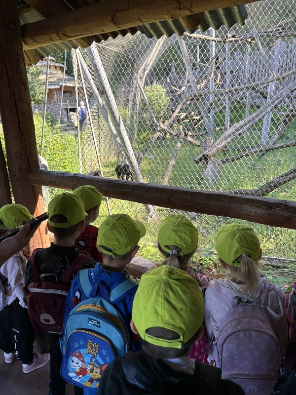 Koťátka - výlet ZOO Jihlava