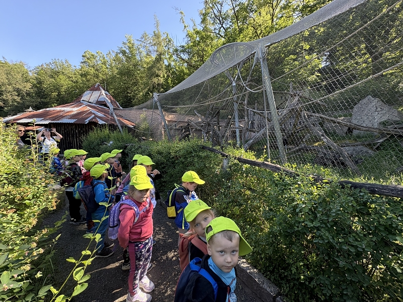 Koťátka - výlet ZOO Jihlava
