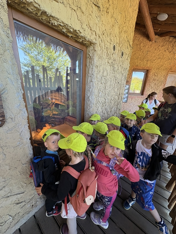 Koťátka - výlet ZOO Jihlava