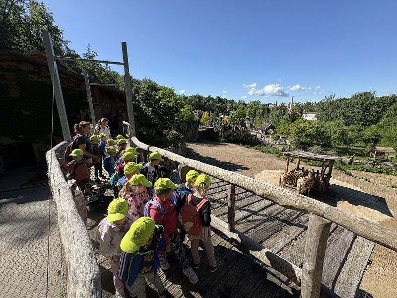 Koťátka - výlet ZOO Jihlava