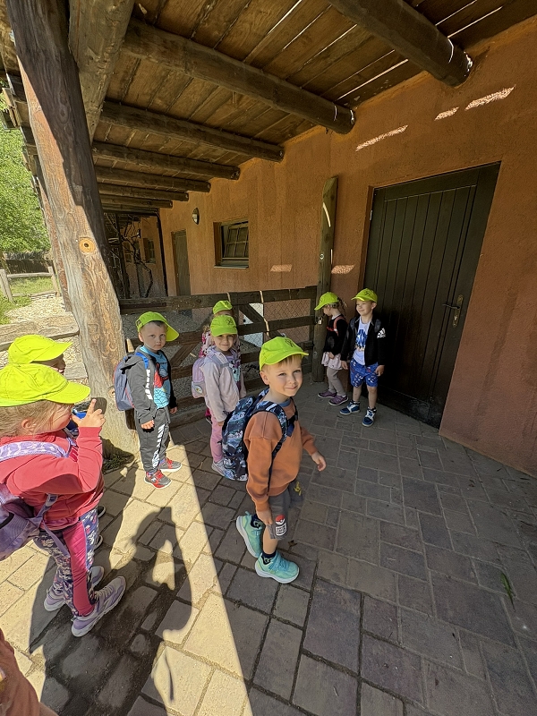 Koťátka - výlet ZOO Jihlava