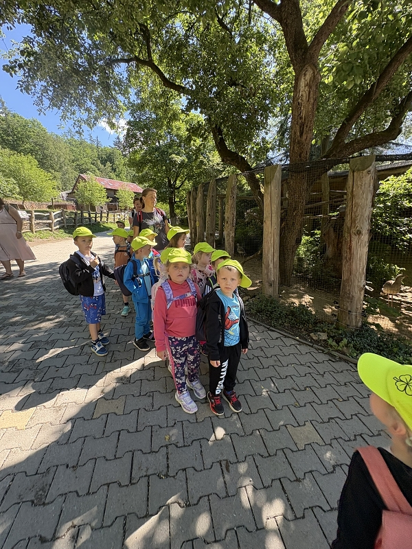 Koťátka - výlet ZOO Jihlava