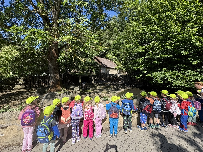 Koťátka - výlet ZOO Jihlava