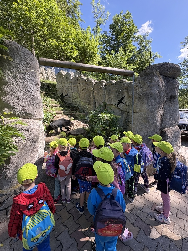 Koťátka - výlet ZOO Jihlava
