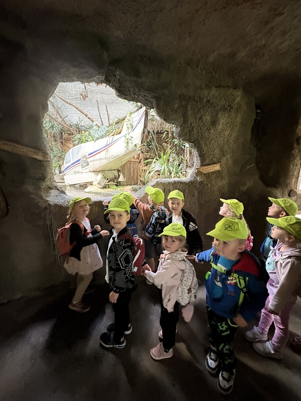Koťátka - výlet ZOO Jihlava