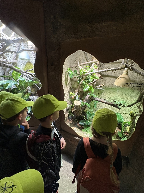 Koťátka - výlet ZOO Jihlava
