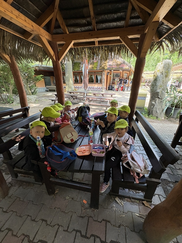 Koťátka - výlet ZOO Jihlava