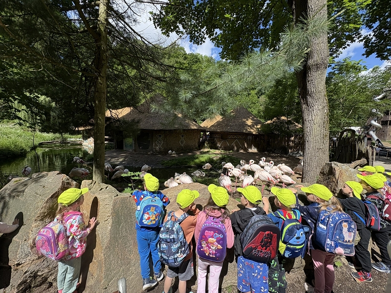 Koťátka - výlet ZOO Jihlava