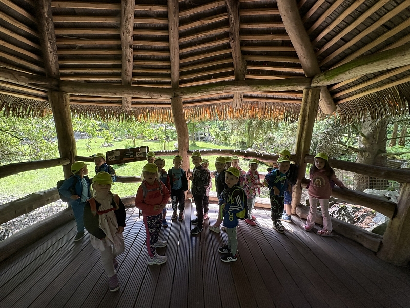Koťátka - výlet ZOO Jihlava