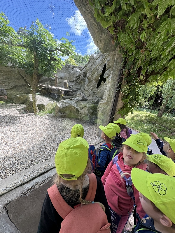 Koťátka - výlet ZOO Jihlava
