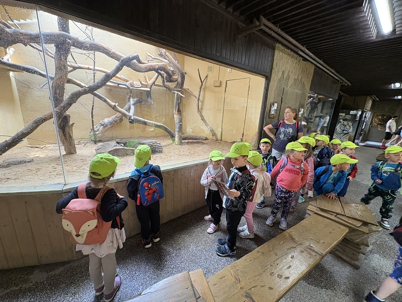 Koťátka - výlet ZOO Jihlava