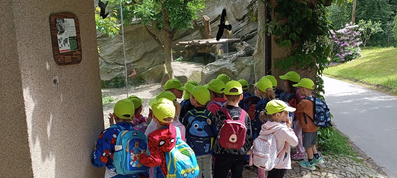 Koťátka - výlet ZOO Jihlava
