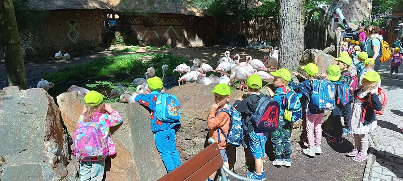 Koťátka - výlet ZOO Jihlava