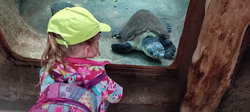 Koťátka - výlet ZOO Jihlava