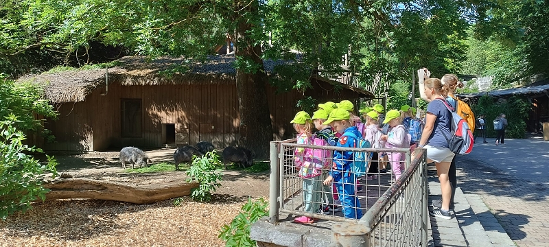 Koťátka - výlet ZOO Jihlava