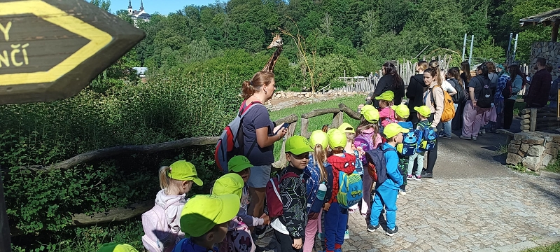 Koťátka - výlet ZOO Jihlava