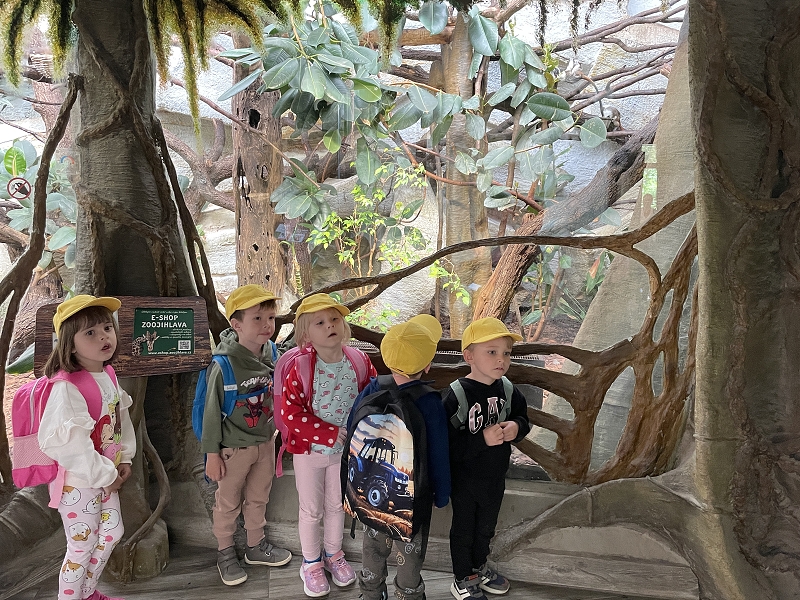 Myšky - výlet do zoo
