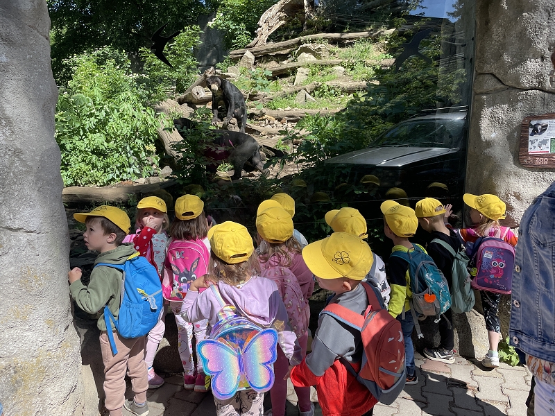 Myšky - výlet do zoo