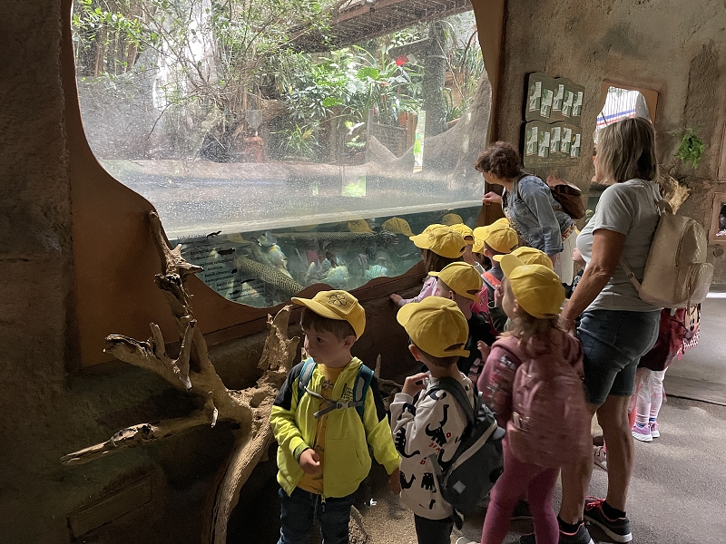 Myšky - výlet do zoo