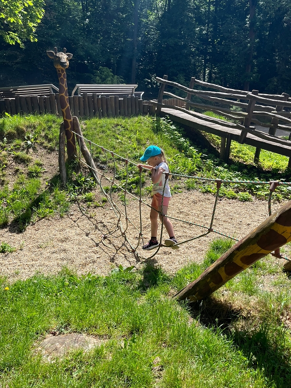 Zajíčci v ZOO