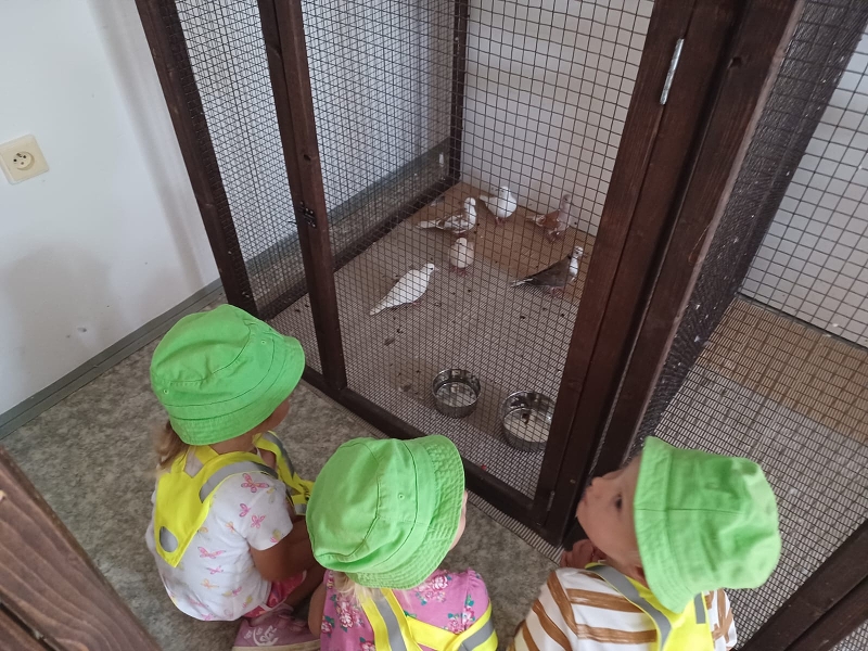 Zeleňásci - Výstava drobného zvířectva