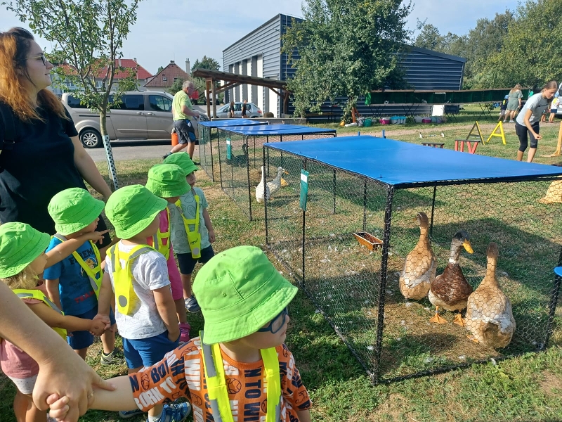 Zeleňásci - Výstava drobného zvířectva