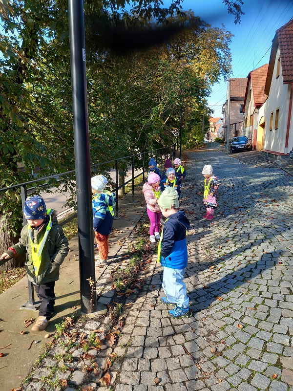 Zeleňásci - sklízíme úrodu z pole