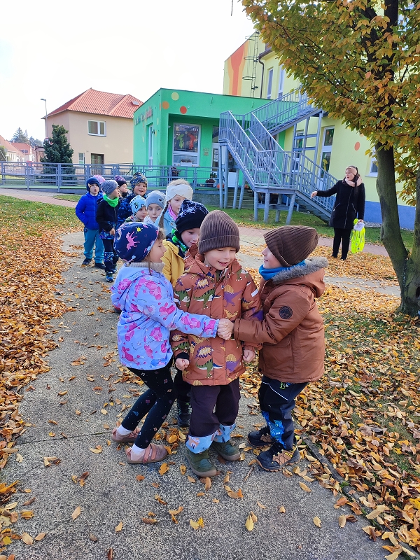 Modrásci-Podzim přišel pomaličku, listí padá na travičku