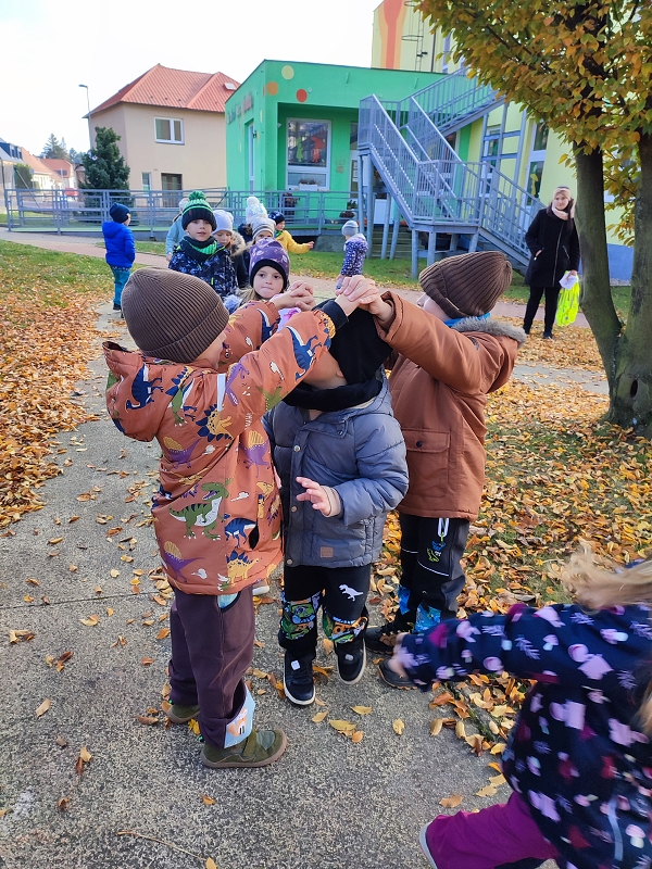 Modrásci-Podzim přišel pomaličku, listí padá na travičku