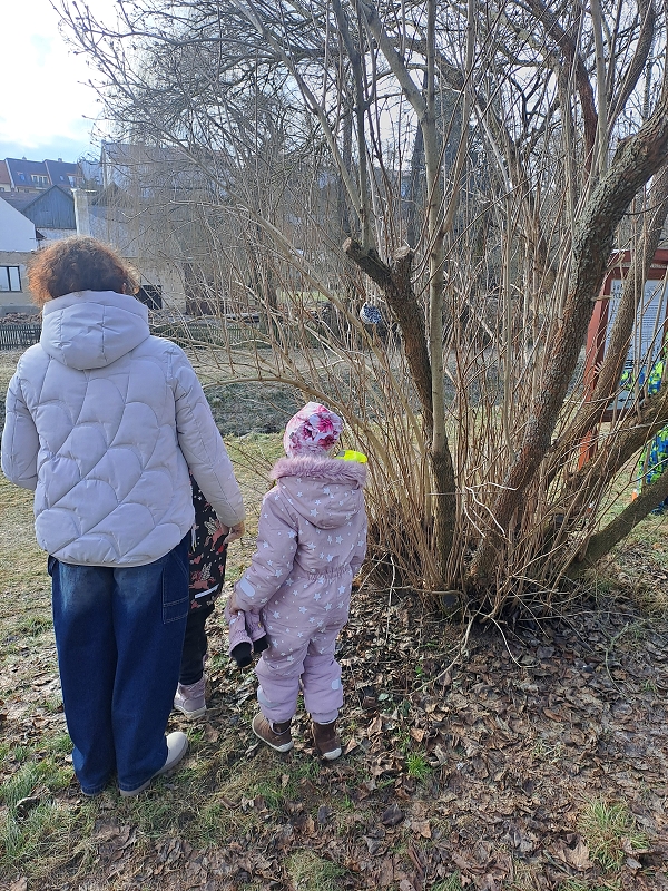 Huboval vrabčák na zimu u Modrásků