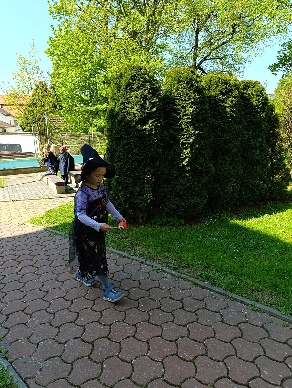 Čarodějnický rej- Modrásci
