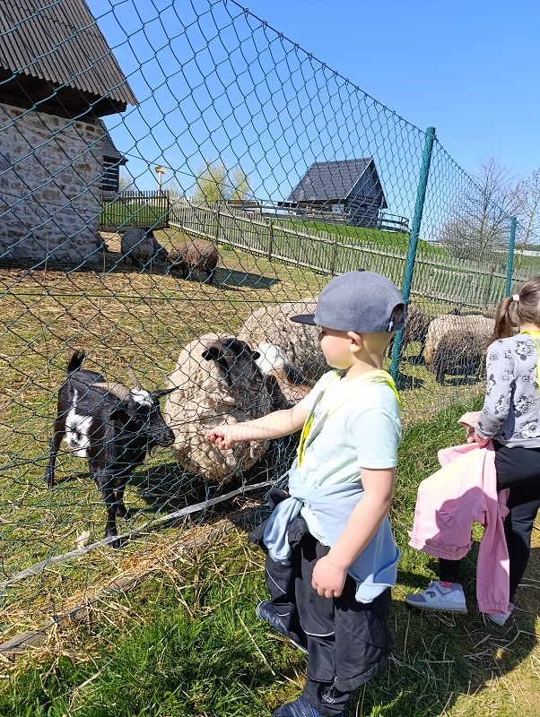 Dvorek plný zvířátek - Modrásci